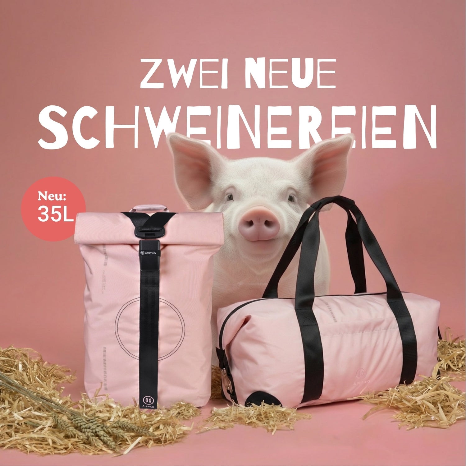 Schweine-Edition
